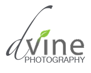 dinnervine photography logo